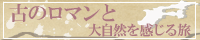 ŤΥޥ缫򴶤ι